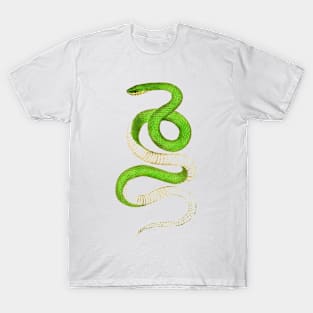 snike T-Shirt